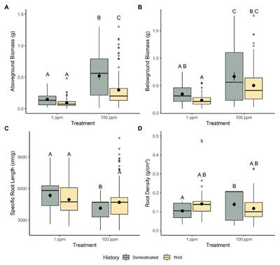 The Impact of Domestication on Aboveground and Belowground Trait Responses to Nitrogen Fertilization in Wild and Cultivated Genotypes of Chickpea (Cicer sp.)